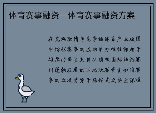 体育赛事融资—体育赛事融资方案